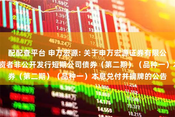 配配查平台 申万宏源: 关于申万宏源证券有限公司2025年面向专业投资者非公开发行短期公司债券（第二期）（品种一）本息兑付并摘牌的公告